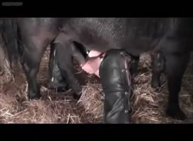 Video :Horse dick got jacked off and rode on by kinky lady